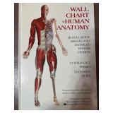 Book - Coffee Table Sized Wall Chart of Human Anatomy w/ Fold Out Panels