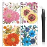 Nuanchu Dried Flower for Crafts Resin Pressed Flowers Bulk, Large Real Dried Wildflowers Leave Natural with Tweezer for Scrapbooking Nail Soap Candle Cake Card Making DIY Christmas Craft Supplies
