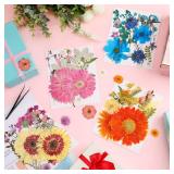 Nuanchu Dried Flower for Crafts Resin Pressed Flowers Bulk, Large Real Dried Wildflowers Leave Natural with Tweezer for Scrapbooking Nail Soap Candle Cake Card Making DIY Christmas Craft Supplies