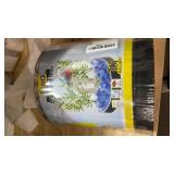 Trnayi 3 Pcs Christmas Contest Trophy Set Acrylic 1st 2nd 3rd 5.9ftft Funny Trophies Gingerbread House Man Cookie Santa Snowman Decorating Kit Party Award for Xmas(Christmas Cookie Contest)