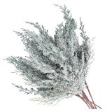 6 Pieces Frosted Artificial Cedar Pine Branches Sprigs 17\ Snowy Faux Cedar Twig White Winter Greenery Stems Pine Picks Cedar Spray for Christmas Tree Craft Wreaths Garlands Holiday Season Decor (6)in