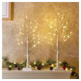 PEIDUO Christmas Decorations Indoor, 2 FT Birch Tree with LED Lights, Fairy Light Spirit Tree for Christmas Decor, Warm White Lighted Birch Trees for Home Decor Indoor, Battery Powered, Timer (2PK) - 