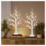 PEIDUO Christmas Decorations Indoor, 2 FT Birch Tree with LED Lights, Fairy Light Spirit Tree for Christmas Decor, Warm White Lighted Birch Trees for Home Decor Indoor, Battery Powered, Timer (2PK) - 