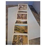 Western National Parks Postcard Collection