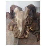 Decorative Ram Skull Wall Mount with Crystal Necklace