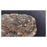 Vintage beaded evening purse with coin purse