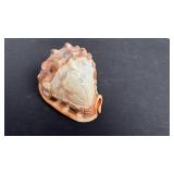Vintage Italian hand carved conch, cameo shell with Victorian Lady