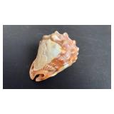Vintage Italian hand carved conch, cameo shell with Victorian Lady