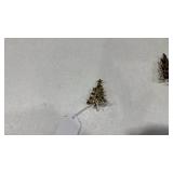 Eisenberg and other Christmas tree pins