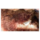 Cabelas boots womens size 10 never worn