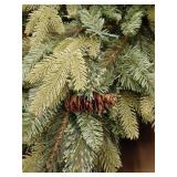 Holiday Living 7.5-ft Hayden pine Pre-lit Artificial Christmas Tree with Twinkling Multicolor LED Lights