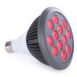 Hooga Red Light Therapy, 660nm 850nm, 12 Dual Chip LEDs, Portable and Targeted High Irradiance for Skin, Pain Relief, Anti-Aging, Muscle Recovery, Sleep - Power Cord & Base Included, HG24