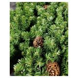 AMERZEST 9FT Prelit Artificial Christmas Garland with Dual Color LED Lights and Timer by Remote Control and Batteries Operated for Mantle Stairs Fireplace Door Xmas Decoration, Indoor Outdoor, Green