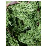 6.2FT Christmas Cedar Garland Artificial Real Touch Greenery with Thick and Lush Soft Pine Needles, Realistic Faux Green Garlands for Mantle Fireplace Table Indoor Outdoor Christmas Decorations