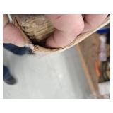 QuickStep Studio + Spill Repel Foxcroft Oak 12-mm T x 6-in W x 48-in L Waterproof Laminate Wood Flooring ( 16.12-sq ft / Carton )