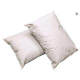 APPEARS NEW - Nylon Reinforced Vinyl PIllows (19x25) Set of 2