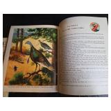 Animal Story Book by Watty Piper & Wesley Dennis