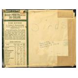 Bird Species Illustration Collection