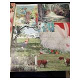 1950s Vintage Photo Collection Scrapbook