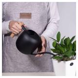 IMEEA Watering Can for Indoor Plants 40oz Stainless Steel Watering Can with Long Spout and Wooden Handle (Black)