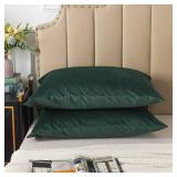 H HOUSEHOLD Set of 2 Velvet King Size Pillowcase, Soft and Cozy Luxury Fuzzy Flannel 20x36 Inches Pillow Cover with Zipper (King (20 x 36 Inch), Dark Green)