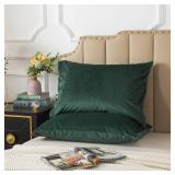H HOUSEHOLD Set of 2 Velvet King Size Pillowcase, Soft and Cozy Luxury Fuzzy Flannel 20x36 Inches Pillow Cover with Zipper (King (20 x 36 Inch), Dark Green)