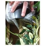 6ft Faux Olive Tree, Artificial Olive Tree Indoor, High Imitation Silk Plant Fake Olive Tree with Realistic Leaves and Fruits, Suitable for Home Living Room Office Decoration