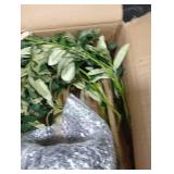 6ft Faux Olive Tree, Artificial Olive Tree Indoor, High Imitation Silk Plant Fake Olive Tree with Realistic Leaves and Fruits, Suitable for Home Living Room Office Decoration