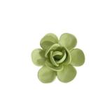 Bi-Sonic Lee 3D Ceramic Flower Wall Art Sculpture, Modern Home Decor, Handcrafted Floral Wall Decoration (Fruit Green,Echeveria 