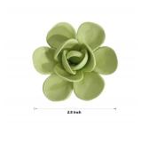 Bi-Sonic Lee 3D Ceramic Flower Wall Art Sculpture, Modern Home Decor, Handcrafted Floral Wall Decoration (Fruit Green,Echeveria 
