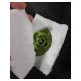 Bi-Sonic Lee 3D Ceramic Flower Wall Art Sculpture, Modern Home Decor, Handcrafted Floral Wall Decoration (Fruit Green,Echeveria 