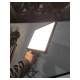 NEEWER LED Video Light Panel Kit, 2 Pack Bi Color Dimmable with Tripod Stand,