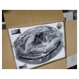 LEDIARY Caged Flush Mount Ceiling Fans with Lights, 23 Inch Farmhouse Low Profile Black Ceiling Fan with Remote, Small Bladeless Fan Lights Ceiling Fixtures for Bedroom, Kitchen- Black