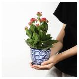 Selamica Ceramic Plant Pots, 4.6 Inch Flower Pots for Indoor Plants, Succulent Pots with Drainage Hole & Saucer, Succulent Planters for Succulent Cactus, Home Decor, Set of 4, Vintage Blue