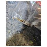 Winchester and CCI Primer Collection