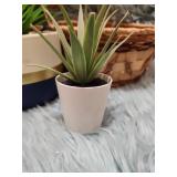 Modern Color Block Ceramic Planters with Artificial Plants Set