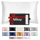 Blissy Silk Pillowcase - 100% Pure Mulberry Silk - 22 Momme 6A High-Grade Fibers - Silk Pillow Cover for Hair & Skin - Regular, Queen & King (Blissy White, Standard)