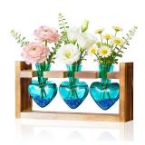 Nacome Plant Terrarium Propagation Stations: Valentines Day Gifts for Her Plant Lovers Women Mom Wife Daughter - 3 Bulb Glass Vase with Wooden Stand Tabletop for Hydroponics Home Garden Wall Decor