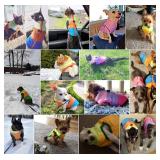 Idepet Pet Dog Cat Coat with Leash Anchor Color Patchwork Padded Puppy Vest Jacket Teddy Chihuahua Costumes Pug Cloth XS S M L (X-Small (Pack of 1), Rose Red)