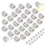 6x9 Plastic Storage Bag with Green Print