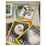 Wildlife Explorer Zoo Books Collection Wildlife Explorer Zoo Books Collection