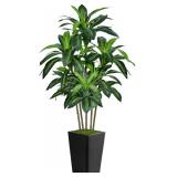 $62 6FT Artificial Dracaena Tree in Black Planter for Indoor Decor