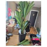 $62 6FT Artificial Dracaena Tree in Black Planter for Indoor Decor
