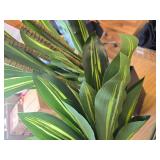 $62 6FT Artificial Dracaena Tree in Black Planter for Indoor Decor