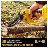 $160 2-in-1 Cordless Pole Saw and mini chainsaw,
