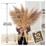40' Natural Pampas Grass Decor 12 pcs Tall, Boho Dried Grass