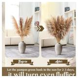 40' Natural Pampas Grass Decor 12 pcs Tall, Boho Dried Grass