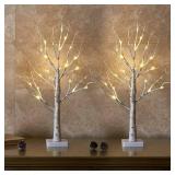 EAMBRITE Lighted Birch Tree Christmas Decorations Indoor for Home, 2Pack 24 LED Battery Operated/USB Tabletop Mini Small Artificial White Trees with Lights for Table Mantel Winter Xmas Decor (2FT) - R