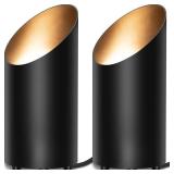 SUNVIE 2 Pack Up Lights Indoor Floor Can Light Uplighting Indoor Spotlight with 2700K GU10 Bulb Accent Lighting Floor Uplighting for Home Plant Picture, UL Listed 5.9 FT Plug Cord & Foot Switch - Reta