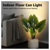 SUNVIE 2 Pack Up Lights Indoor Floor Can Light Uplighting Indoor Spotlight with 2700K GU10 Bulb Accent Lighting Floor Uplighting for Home Plant Picture, UL Listed 5.9 FT Plug Cord & Foot Switch - Reta